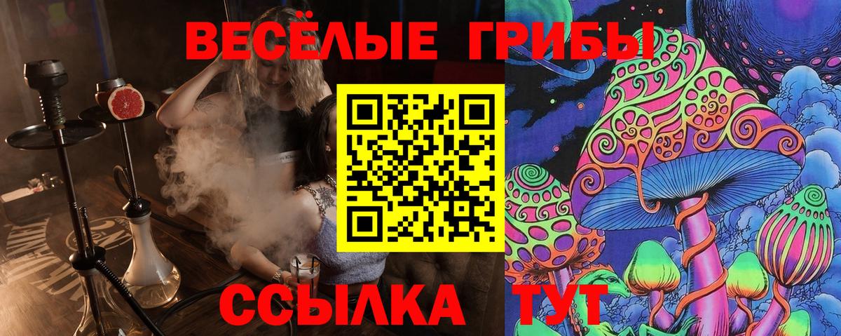 Галлюциногенные грибы Psilocybine cubensis  Вход с VPN  Псилоцибиновые грибы прущие грибы  Нижний Новгород 