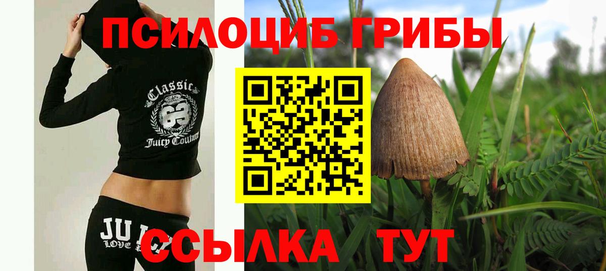 Псилоцибиновые грибы MAGIC MUSHROOMS Нижний Новгород